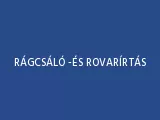 Profilkép