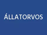Profilkép