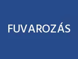 Profilkép