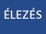 Profilkép