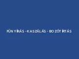 Profilkép