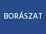 Profilkép