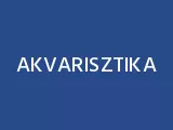 Profilkép