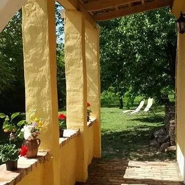 Profilkép