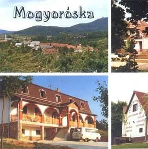 Profilkép