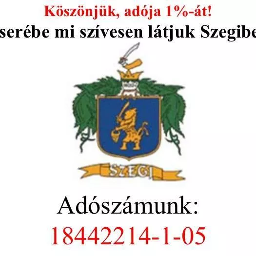 Profilkép
