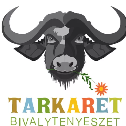 Profilkép