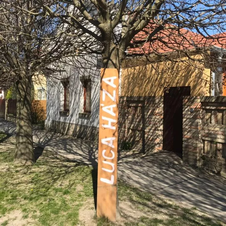 Profilkép