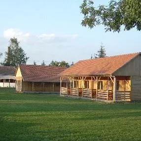 Profilkép