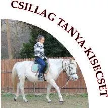 Profilkép