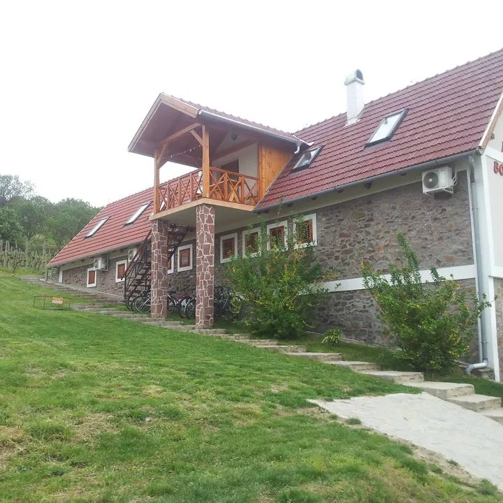 Profilkép