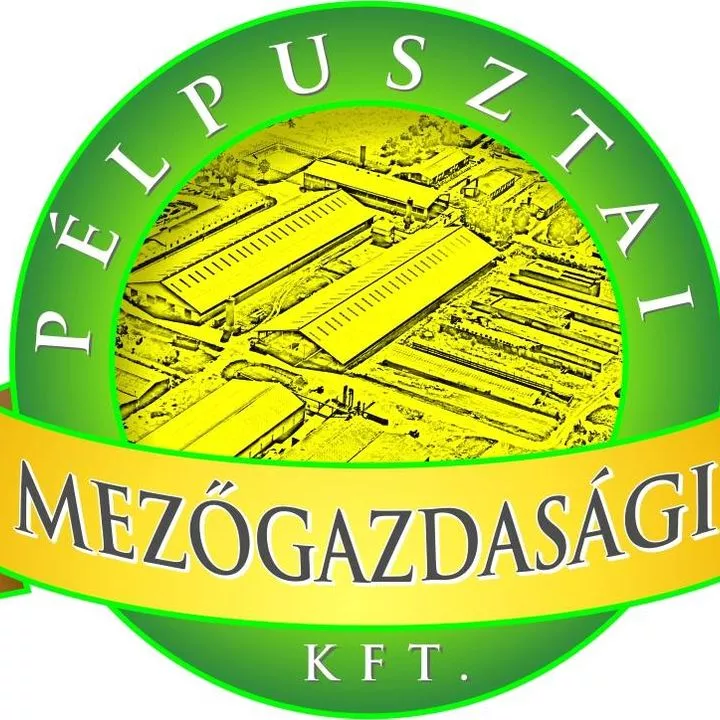 Profilkép