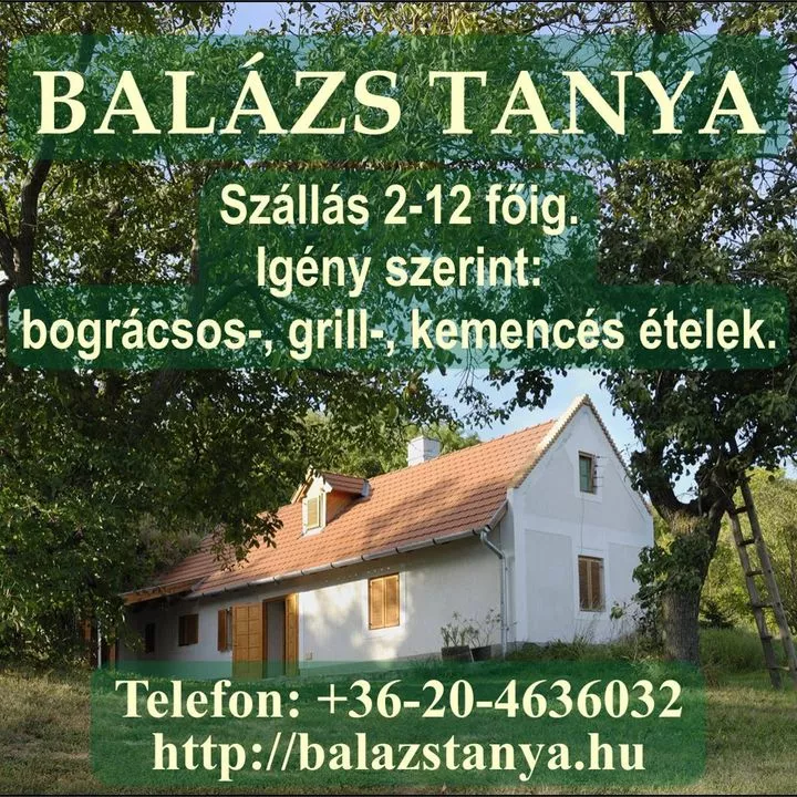 Profilkép