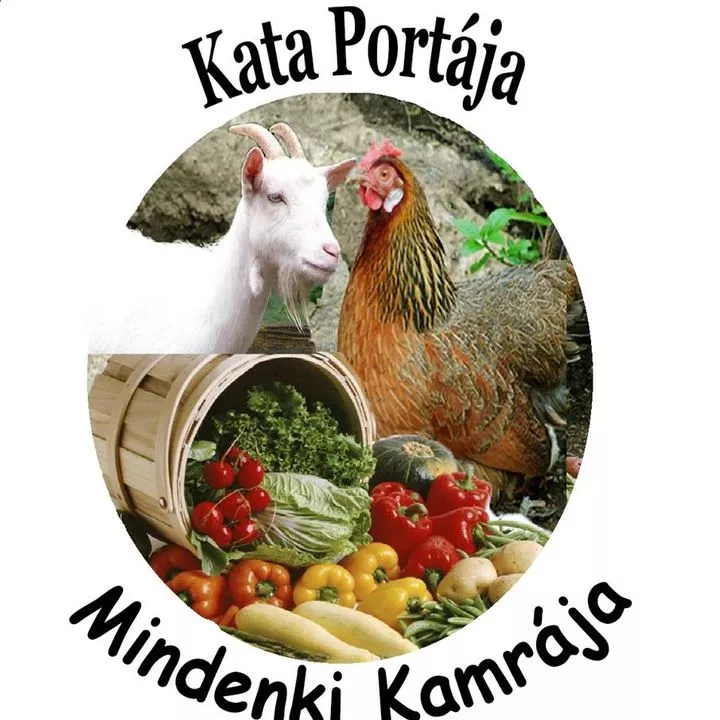 Profilkép