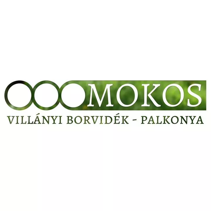 Profilkép