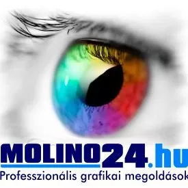 Profilkép