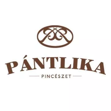 Profilkép