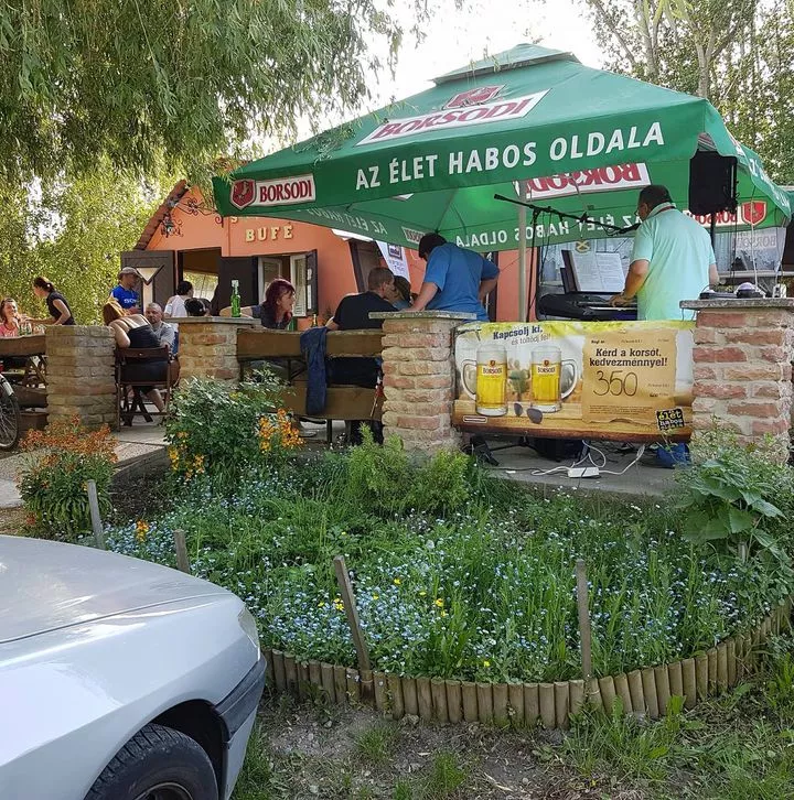 Profilkép