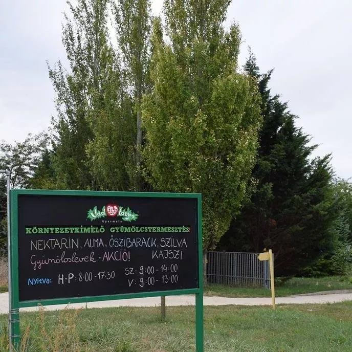 Profilkép