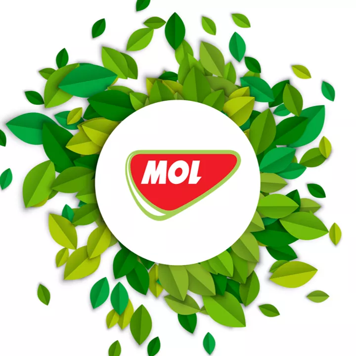 Profilkép