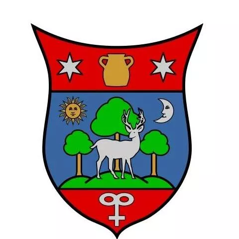 Profilkép