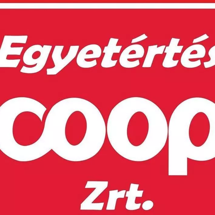 Profilkép