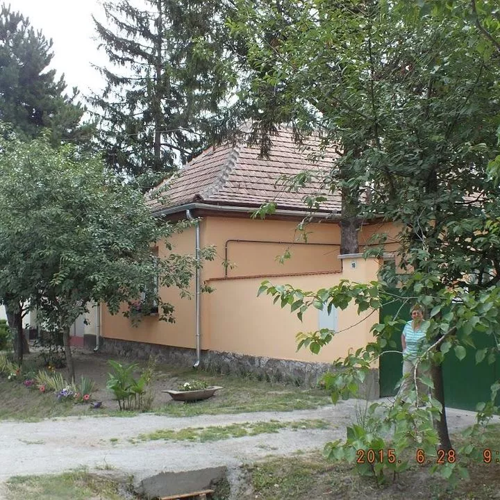 Profilkép