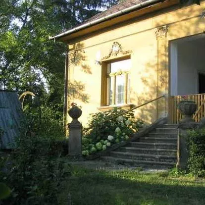 Profilkép