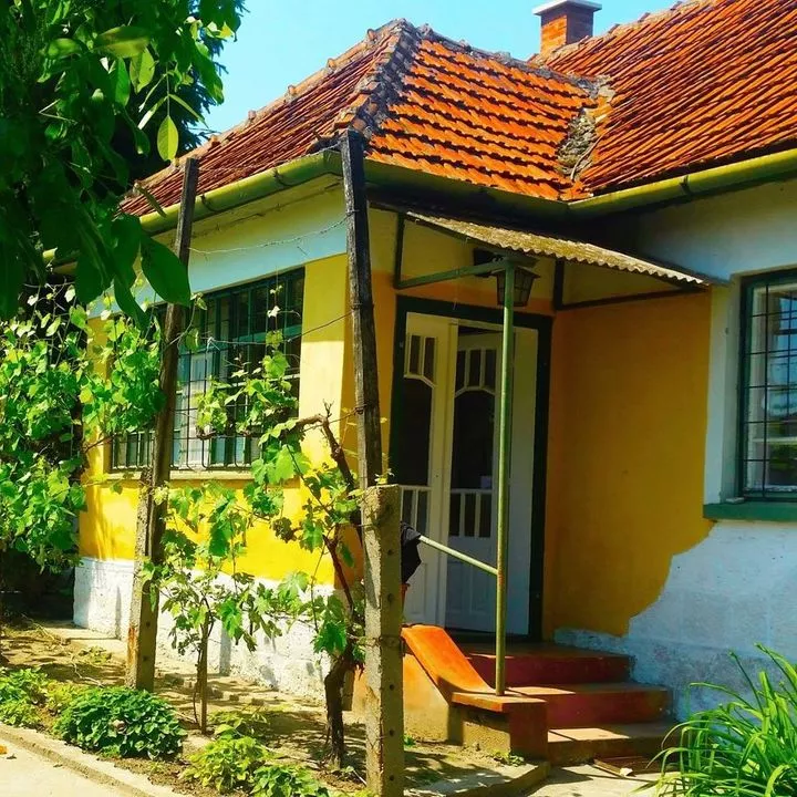 Profilkép