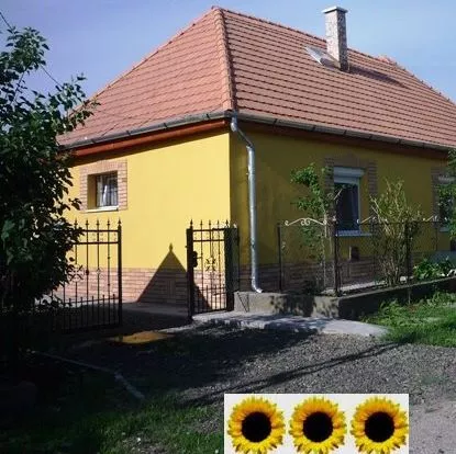Profilkép