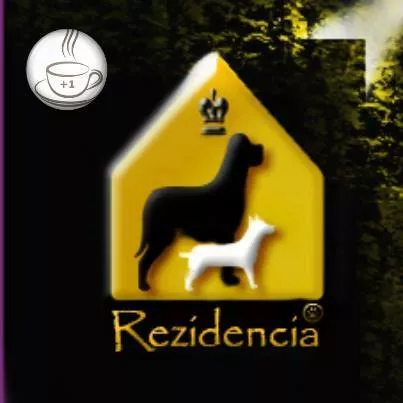 Profilkép