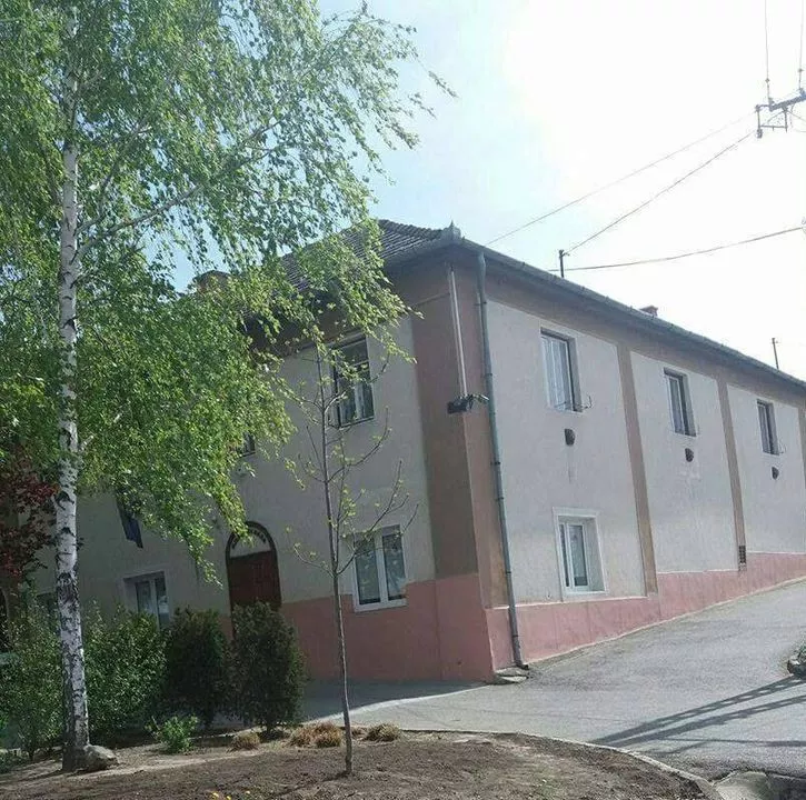 Profilkép