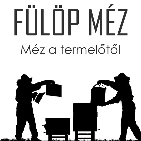 Profilkép