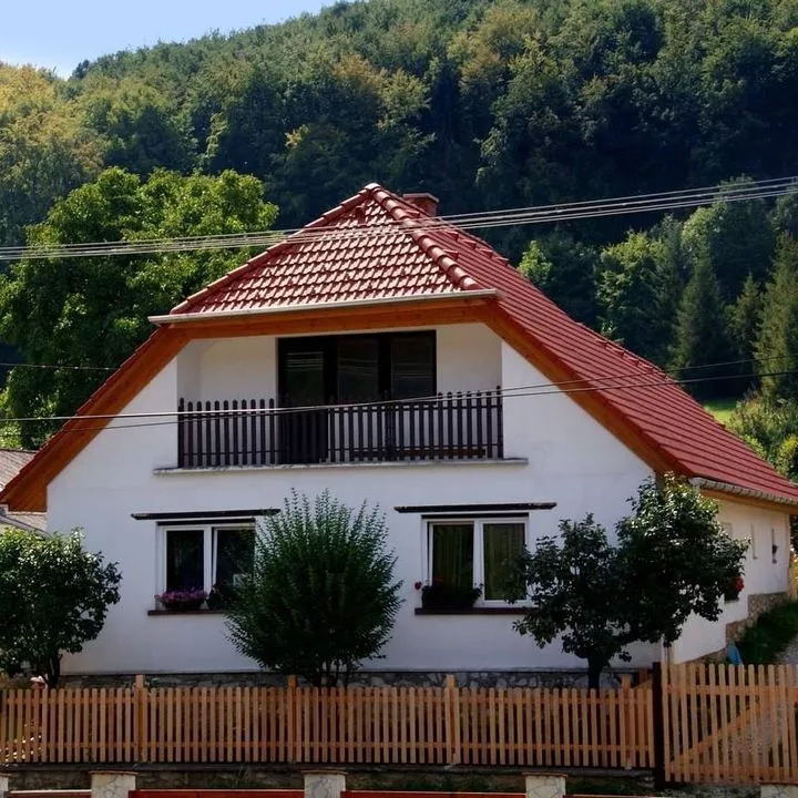 Profilkép