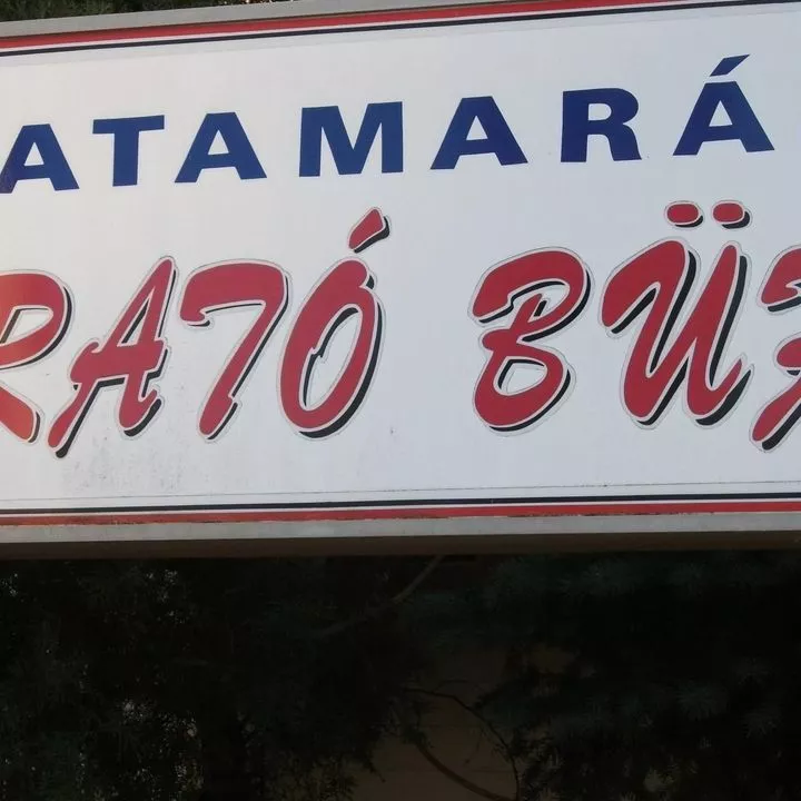 Profilkép