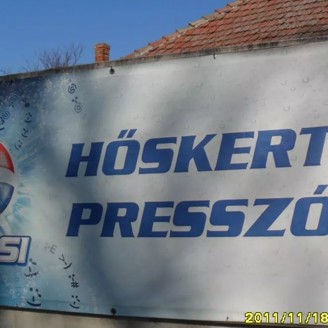 Profilkép