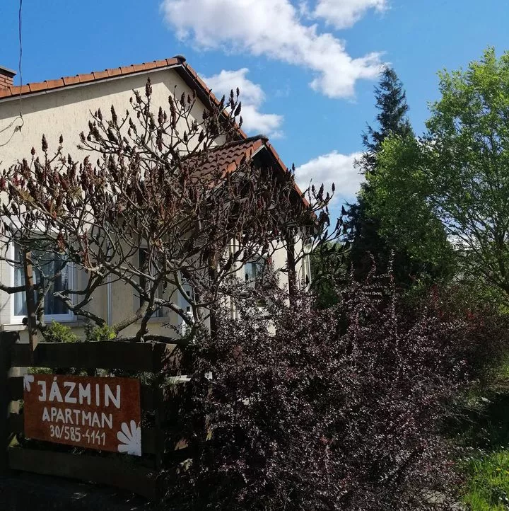 Profilkép