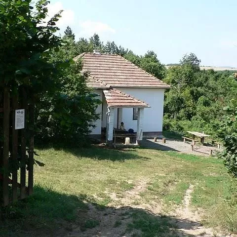 Profilkép