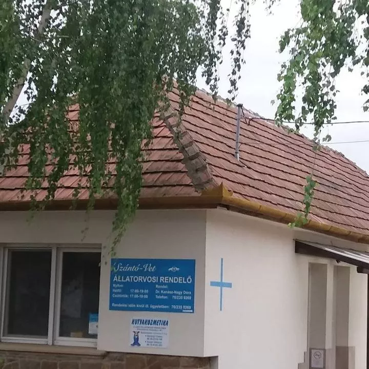 Profilkép