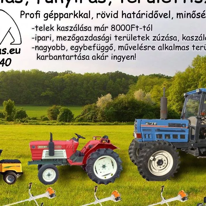 Profilkép
