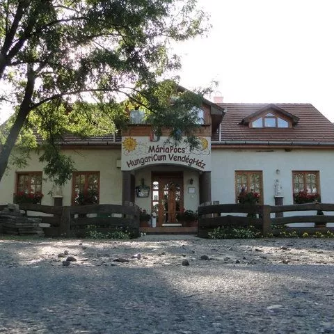 Profilkép