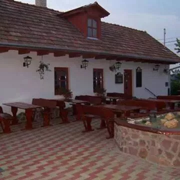 Profilkép