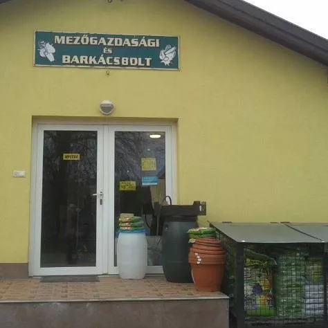 Profilkép