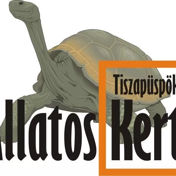 Profilkép