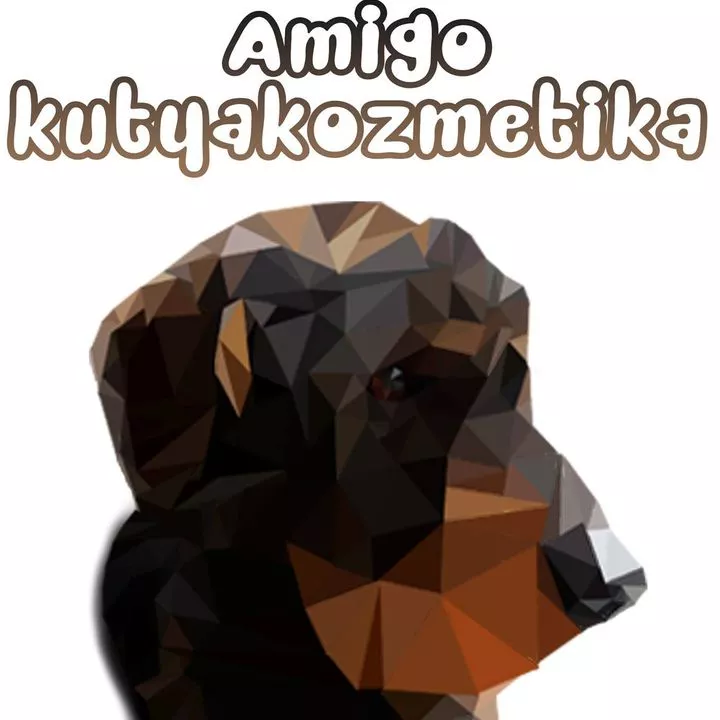 Profilkép