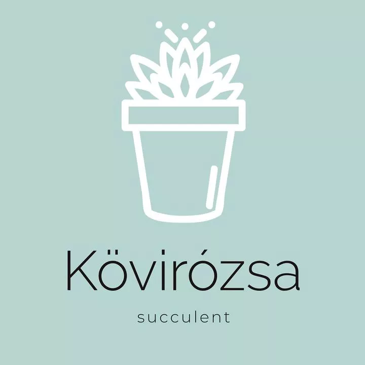 Profilkép