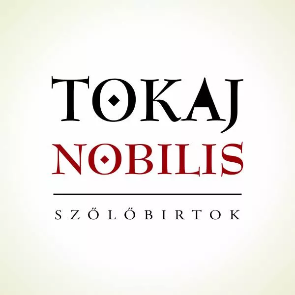 Profilkép
