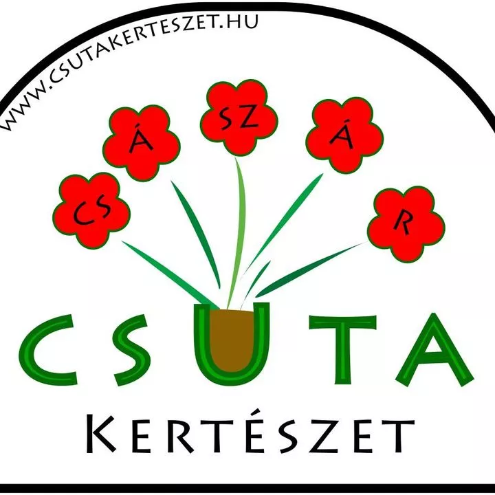 Profilkép