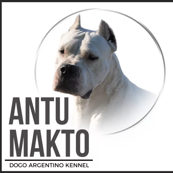 Profilkép