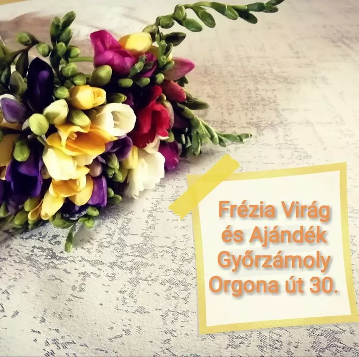 Profilkép